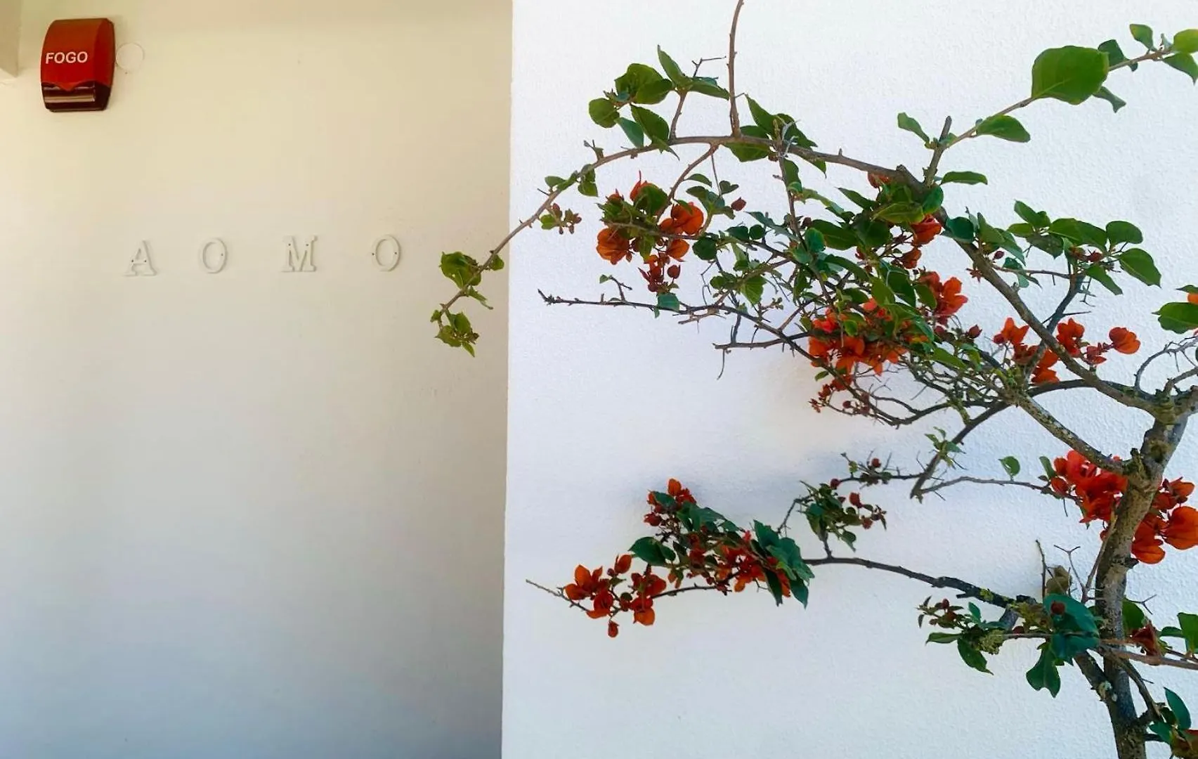 Penzion Aomo Art Space Hostel Oeiras Portugalsko